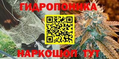 ГАЛЛЮЦИНОГЕННЫЕ ГРИБЫ Комсомольск-на-Амуре